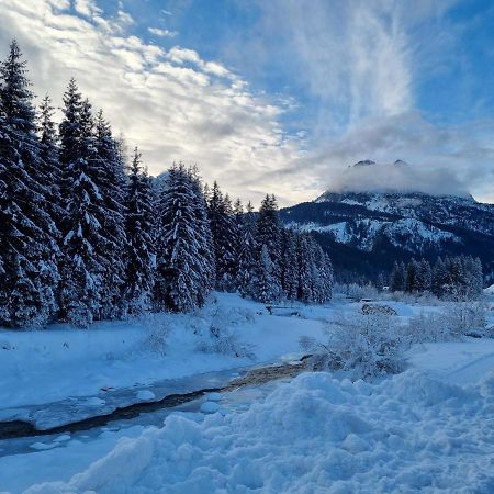 Hirsch Haus Daire Santo Stefano Di Cadore Dış mekan fotoğraf