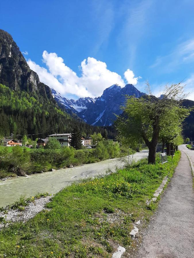 Hirsch Haus Daire Santo Stefano Di Cadore Dış mekan fotoğraf