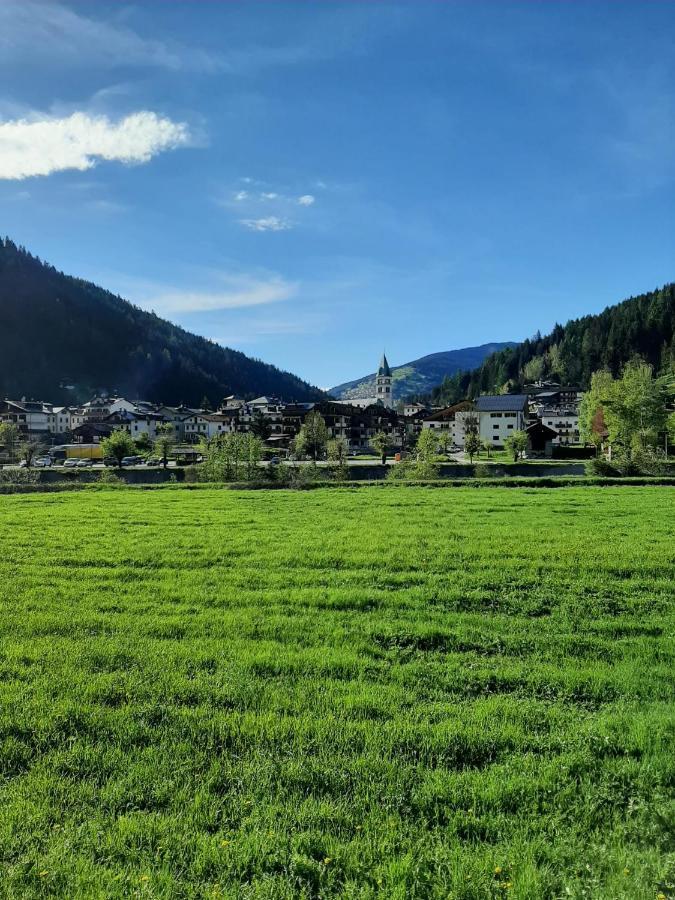 Hirsch Haus Daire Santo Stefano Di Cadore Dış mekan fotoğraf